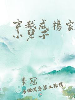 穿越成杨家将最小儿子