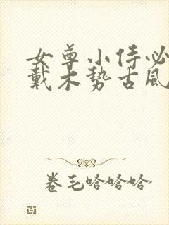 女尊小侍必须佩戴木势古风