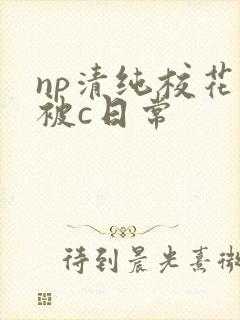 np清纯校花的被c日常