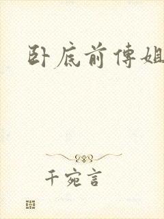 卧底前传姐妹篇