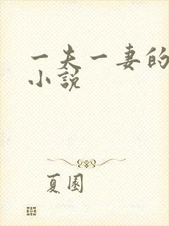 一夫一妻的玄幻小说