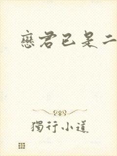 恋君已是二十年