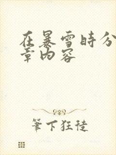 在暴雪时分54章内容