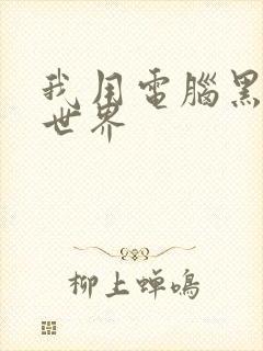 我用电脑黑了全世界