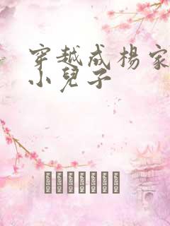 穿越成杨家将最小儿子