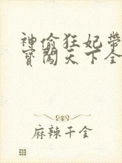 神偷狂妃带着宝宝闯天下全文免费阅读