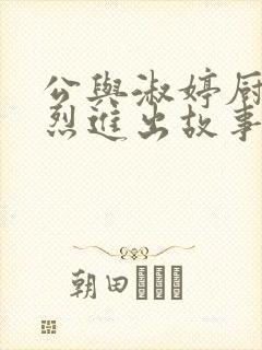 公与淑婷厨房猛烈进出故事