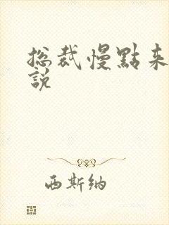 总裁慢点来 小说