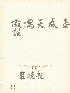 假偶天成泰剧小说