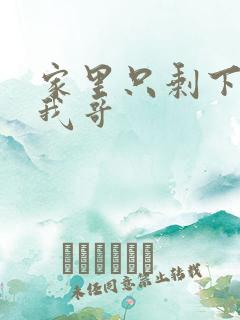 家里只剩下我和我哥