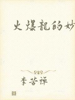 火爆龙的妙管家