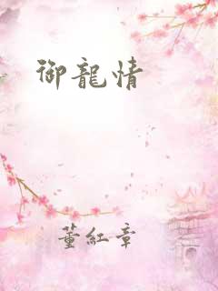 御龙情