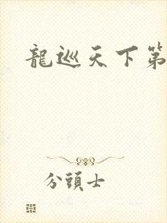 龙巡天下第四部