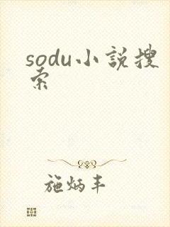 sodu小说搜索