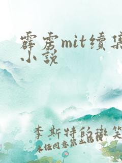 霹雳mit续集小说