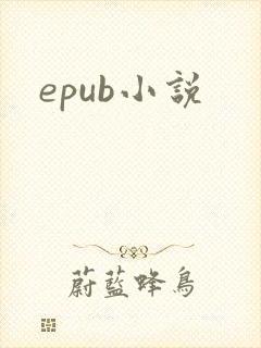 epub小说