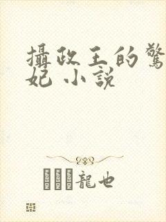 摄政王的惊世嫡妃 小说