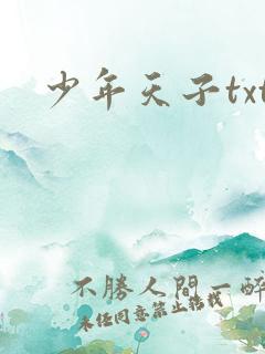 少年天子txt