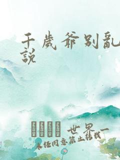 千岁爷别乱来小说