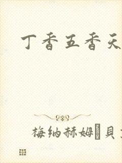 丁香五香天麻豆