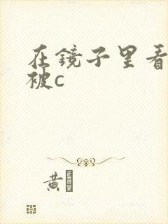 在镜子里看自己被c