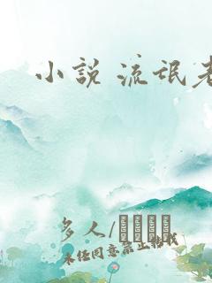 小说 流氓老师