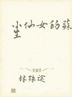 小仙女的苏撩先生