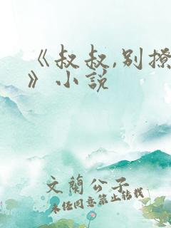 《叔叔,别撩我》小说