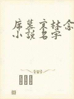 席慕寒林念儿的小说名字