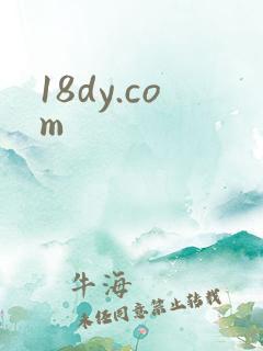 18dy.com