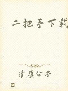 二把手下载