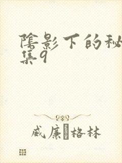 阴影下的秘密全集9