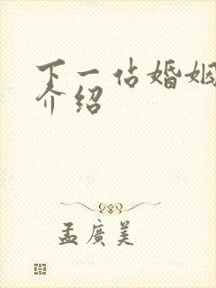 下一站婚姻剧情介绍