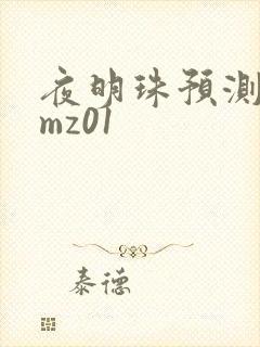 夜明珠预测 ymz01
