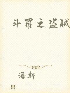 斗罗之盗贼