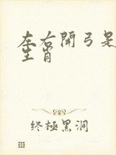 左右开弓是什么生肖