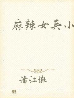 麻辣女兵小说版