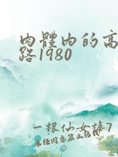 肉体内的高速公路1980