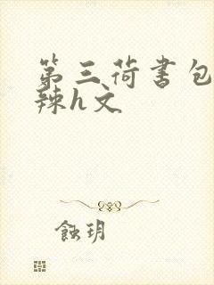 第三荷书包网高辣h文