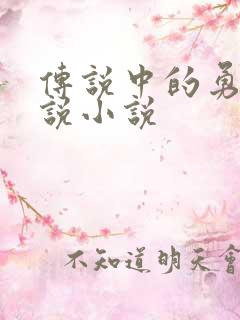 传说中的勇者传说小说