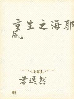 重生之海耶斯旋风