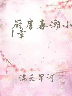 厨房春潮小说第1章