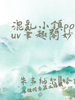 混乱小镇popuv笔趣阁妙妙