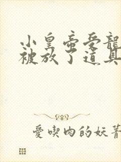 小皇帝受龙椅上被放了道具