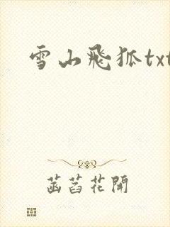 雪山飞狐txt