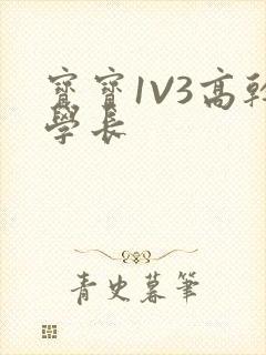 宝宝1V3高干学长
