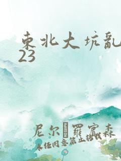 东北大坑乱1—23