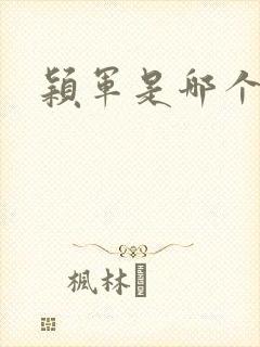 颖军是哪个军阀