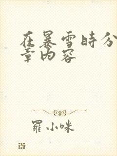 在暴雪时分54章内容