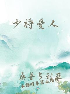 少将爱人